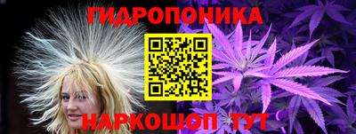 гидропоника Чапаевск