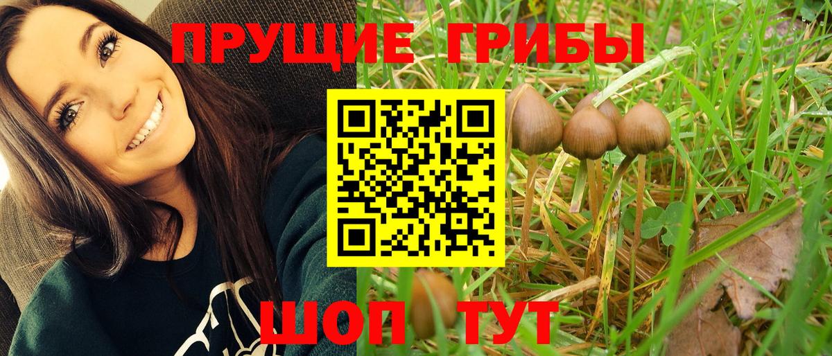 Барнаул  Псилоцибиновые грибы мухоморы  Вход с VPN 